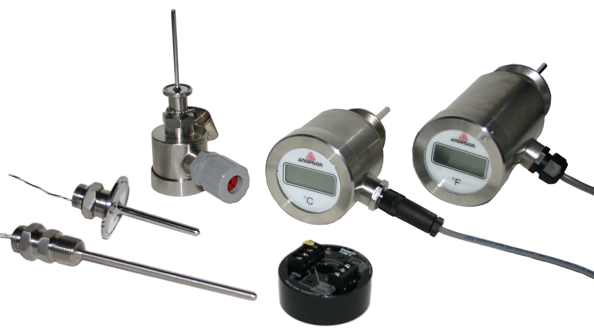 Hygienic temperature measurement in a sanitary processing application